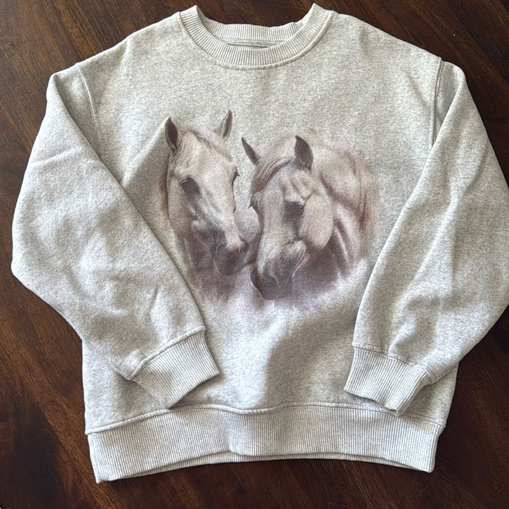 Zara kids sweatshirt